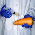 «Без ГМО» - бизнес на вранье и крови?