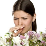 Травы для аллергиков – яд!