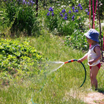 На выходных в Днепропетровске - лето!