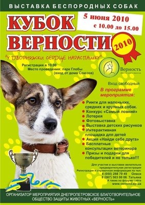 5 июня, конкурс беспородных собак «Кубок Верности», парк им. Глобы
