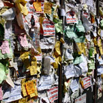 54 тысячи гривен штрафов пополнят городской бюджет