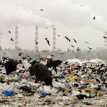 Слава Богу, мы и не первые и не вторые