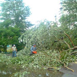 Коммунальщики продолжают вычищать город от остатков непогоды