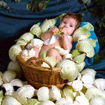 Днепропетровщина – рекордсмен по рождаемости