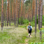 Днепропетровские леса все еще закрыты
