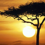 Путешественники из Днепропетровска пересекают Африку