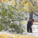 Зима начнется 18 ноября и закончится в апреле, - синоптики