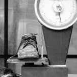 Днепропетровцам расскажут об их правах