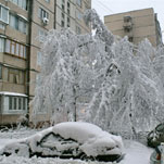 Днепропетровск пережил самую холодную ночь этой зимы