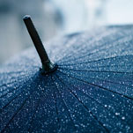 К нам снова идут холод и дожди