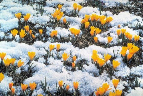 Весна принесет в Днепропетровск морозы