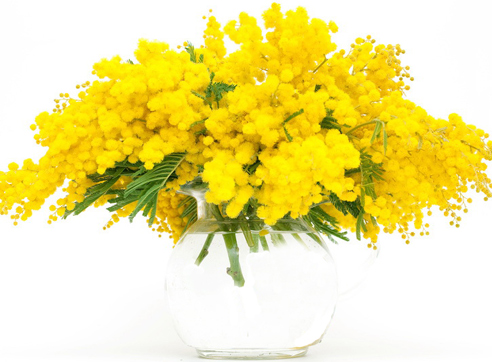 Праздновать или не праздновать? Праздновать или не праздновать?