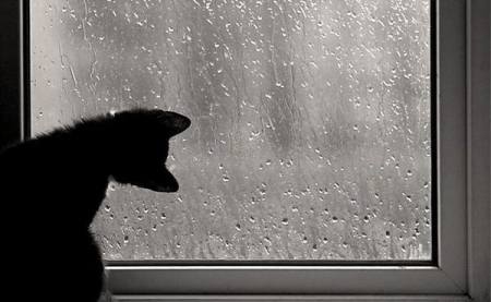 На этой неделе Украину накроет непогода На этой неделе Украину накроет непогода