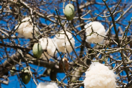 Удачные изобретения женщин Удачные изобретения женщин