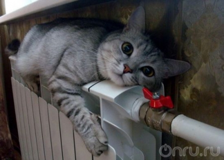 Отопительный сезон начнется через месяц Отопительный сезон начнется через месяц