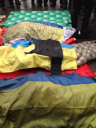 Утро перемирия (Фото) Утро перемирия (Фото)