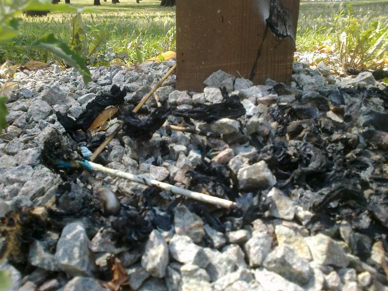 В Днепропетровске беженец из Донецка поджег крест Небесной Сотне (ФОТО) В Днепропетровске беженец из Донецка поджег крест Небесной Сотне (ФОТО)