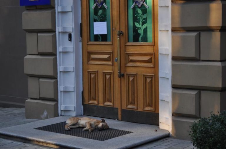 Люстрация затянулась (Фото)