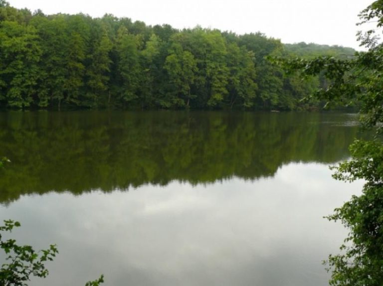 Самые красивые и чистые озера Украины