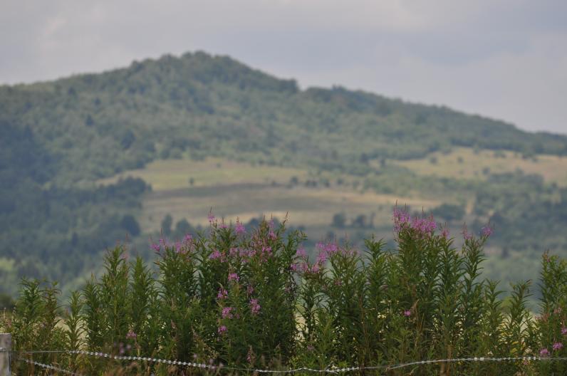 Заповедных Карпат станет больше Заповедных Карпат станет больше