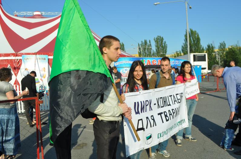 И снова про цирки И снова про цирки