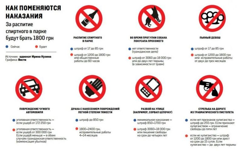 В Украине появится новый вид наказания