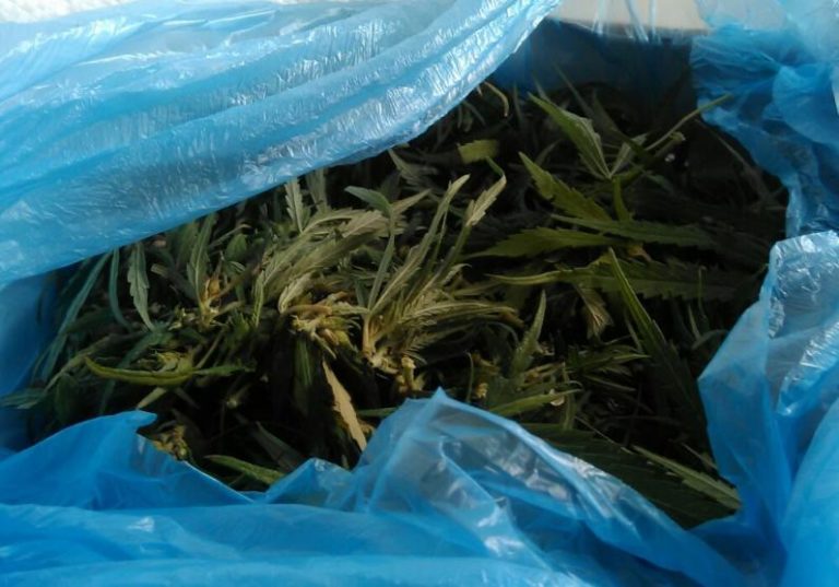 В Днепре задержали мужчину, который привез в город  5 кг марихуаны