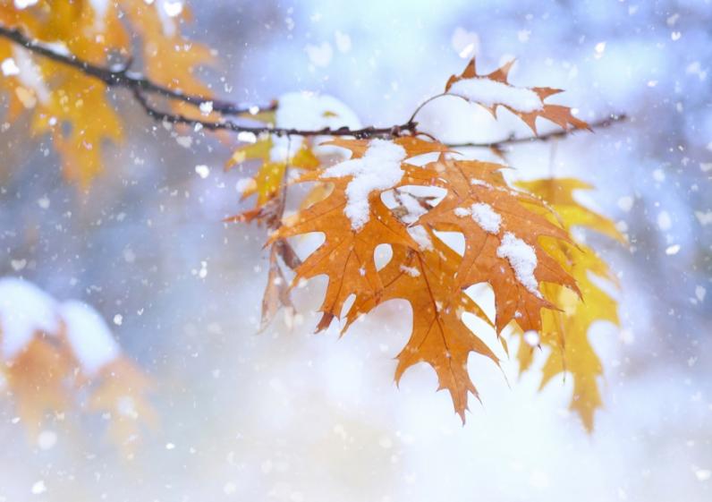 Мороз до -8: синоптик дал прогноз на ноябрь