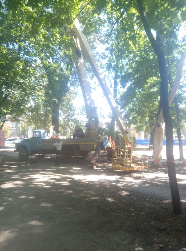 Поліцейські арештували спецтехніку фірми-підрядника, яка пиляла дерева у парку Глоби