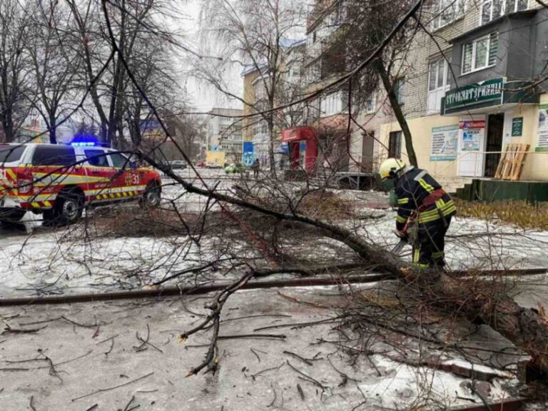 Непогода: в Днепре спасатели убирают поваленные деревья