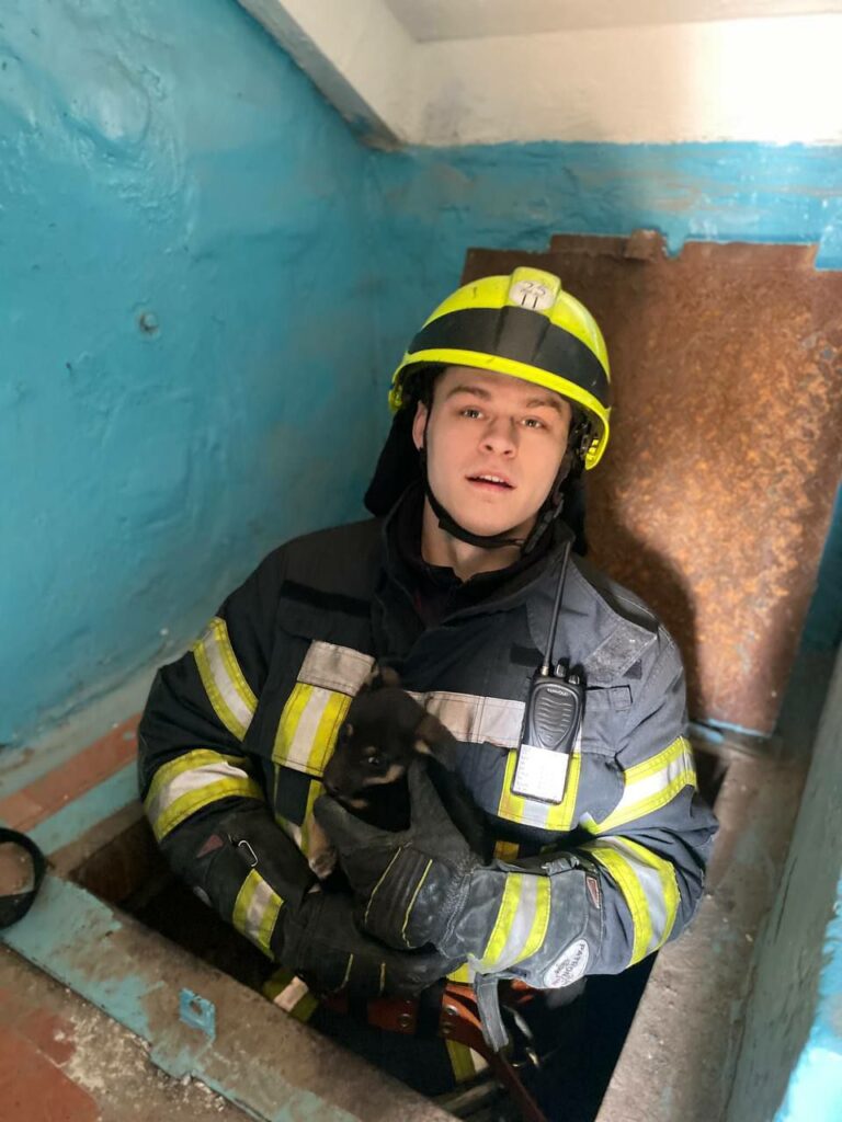 Днепровские спасатели помогли щенку