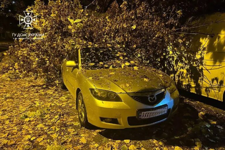 У Дніпрі дерево впало на автівки