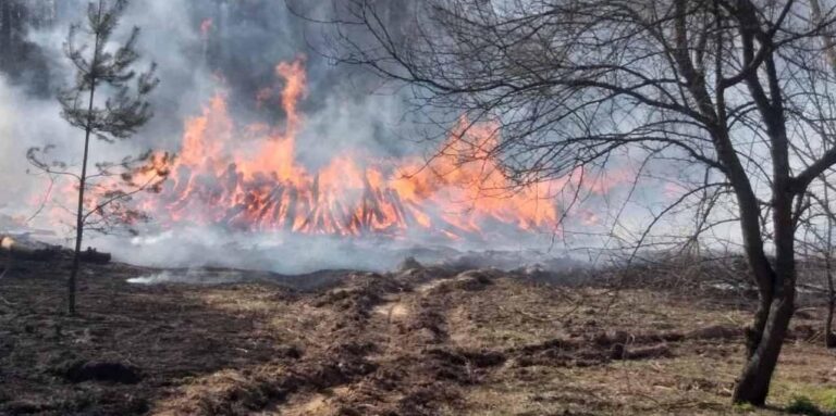 У Мінприроди назвали суму збитків довкіллю через російську агресію