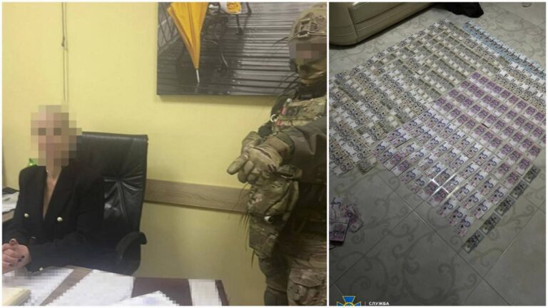 У Дніпрі посадовиця обласної податкової вимагала хабарі від підприємців