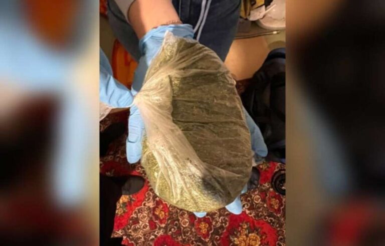 На Дніпропетровщині у чоловіка знайшли кілограм марихуани
