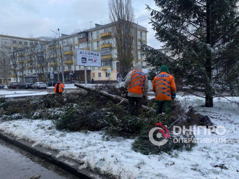 У Дніпрі ліквідовують наслідки негоди