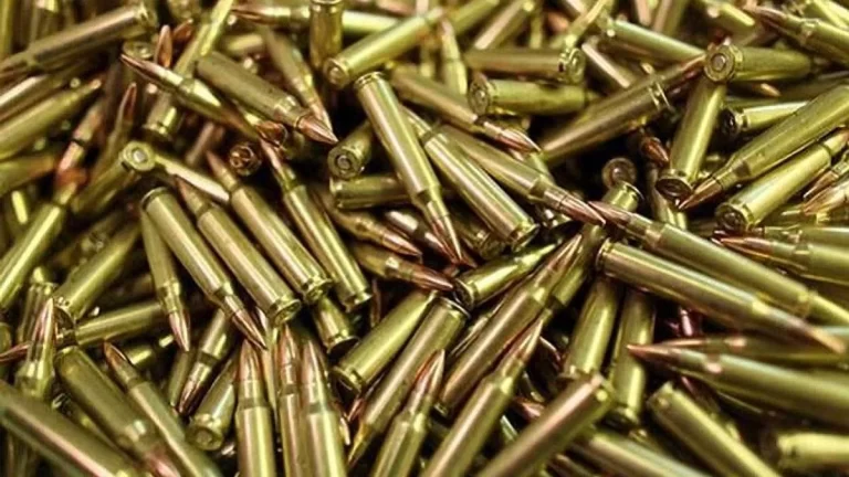У Кам’янському чоловік хотів продати поліції боєприпаси зі смітника