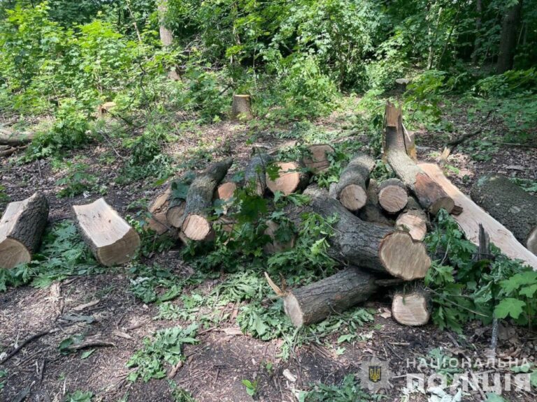 Пропонував хабар поліції: на Дніпропетровщині затримано 34-річного зловмисника
