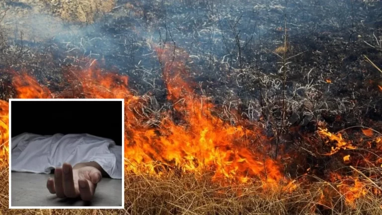 У Дніпропетровській області жінка загинула, спалюючи траву