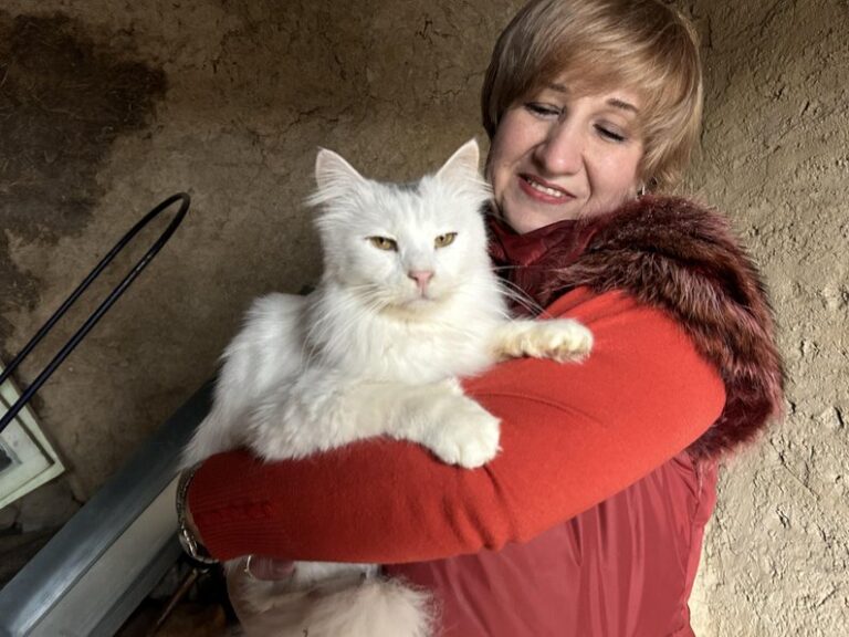 Мешканка Покровська виїхала на Дніпропетровщину з 23-ма котами