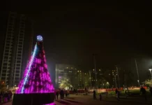 Де вже встановили новорічні ялинки у Дніпрі