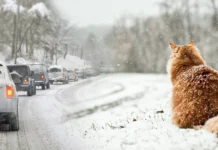 В Україну йде похолодання