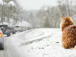 В Україну йде похолодання