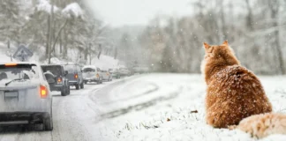 В Україну йде похолодання