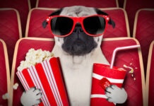 Що дивитись без світла: українські серіали, які є на YouTube