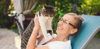 В Україні хочуть дозволити передавати домашніх тварин за заповітом: що треба знати