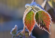 В Україну йде арктичне повітря з морозом -18