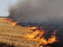 На Дніпропетровщині судитимуть чоловіка за збитки на майже 2 млн через підпал стерні