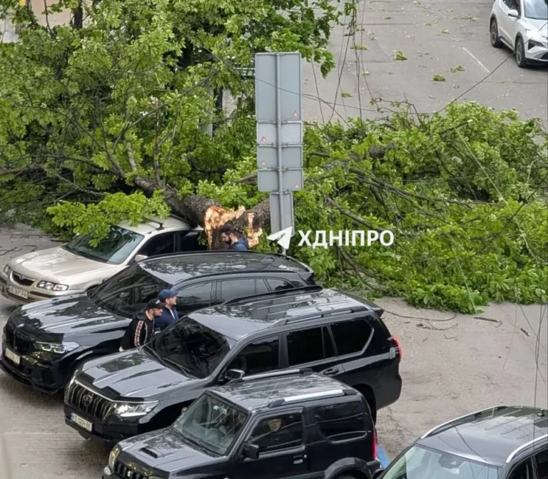 На Дніпропетровщині після негоди відновили електропостачання для 130 тисяч абонентів