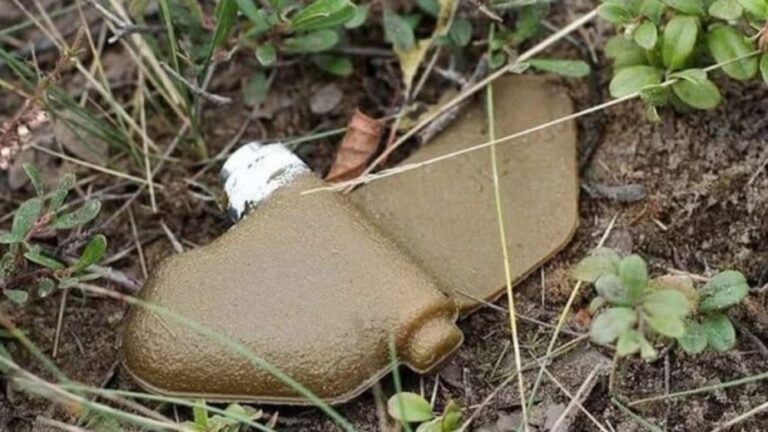 На Дніпропетровщині вибухівка здетонувала у руках дитини